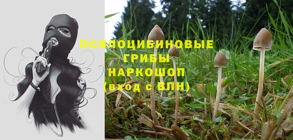 герыч Протвино