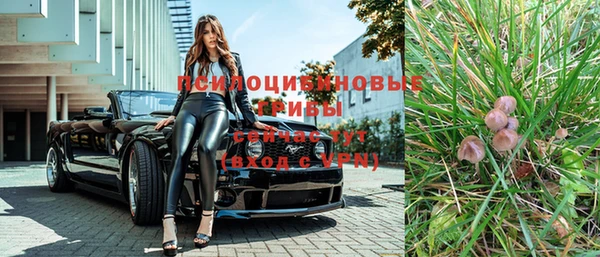 твердый Приозерск